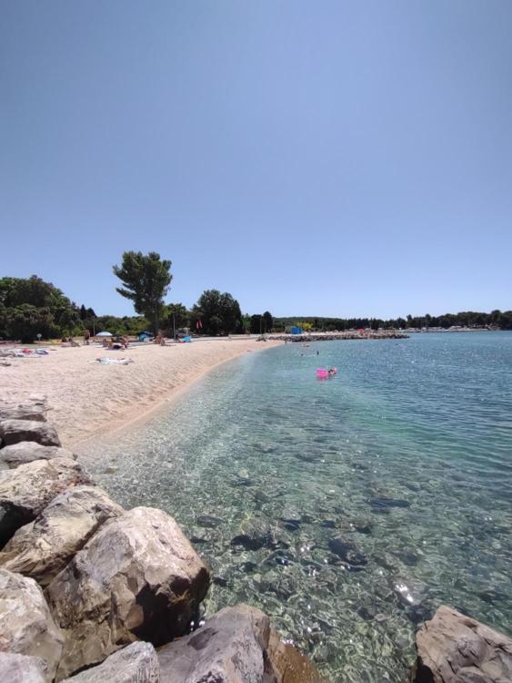 Tognon * Pula