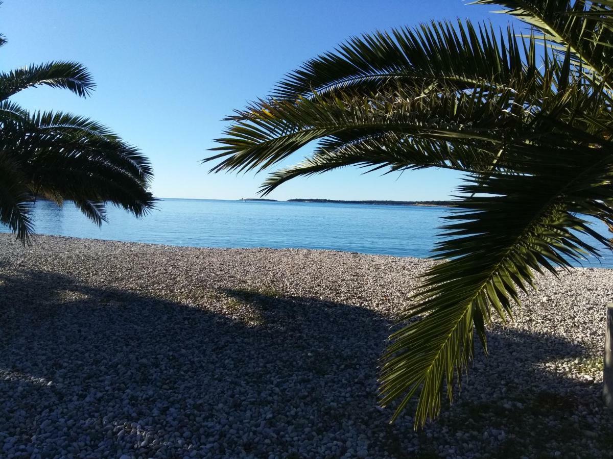 Apartman Tognon